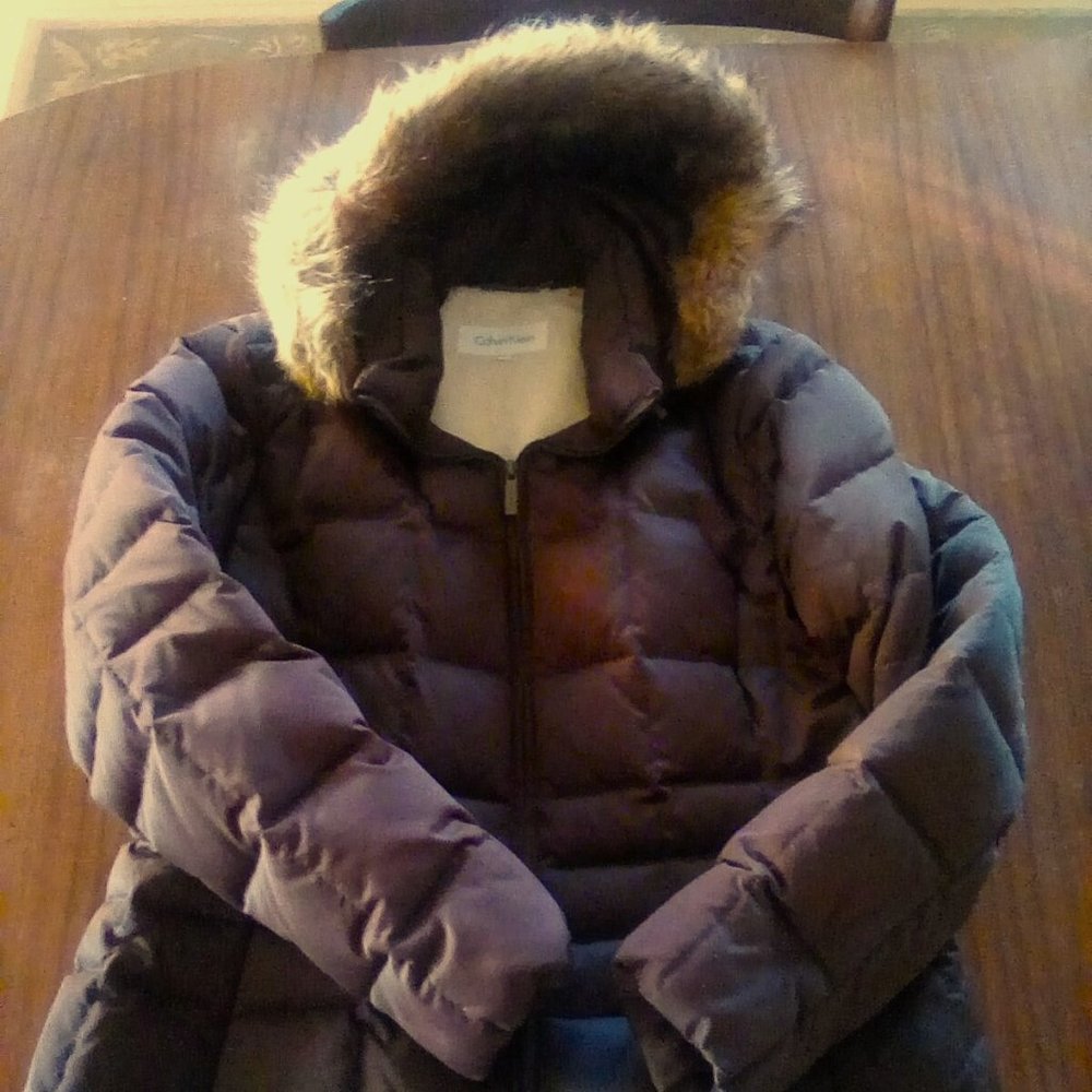 Down Puffer Ski Jacket - image 1